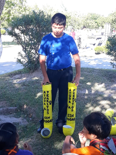 agua y comida para animalitos sin hogar