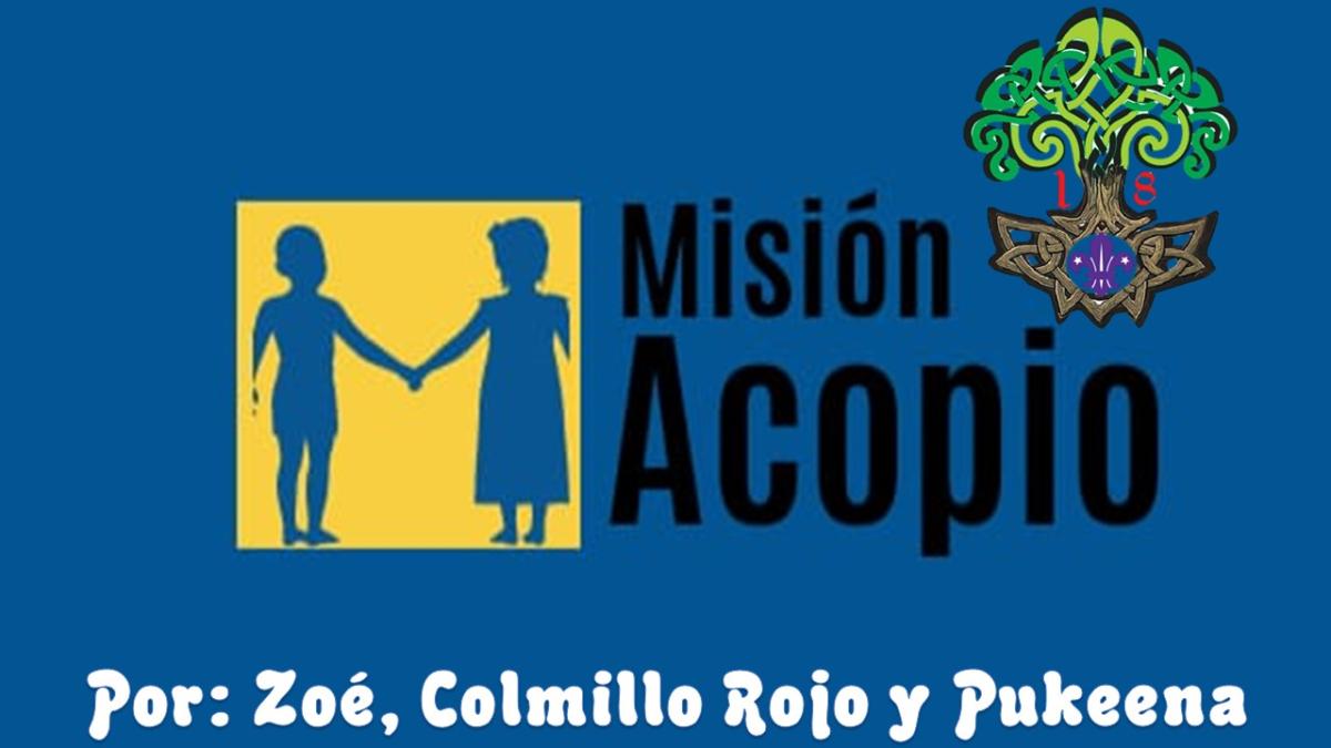 Misión acopio