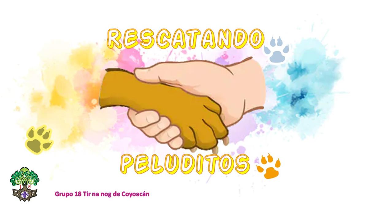 Rescatando Peluditos