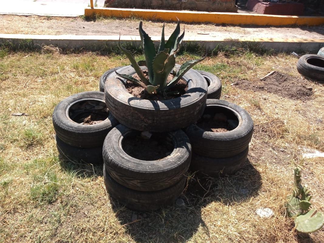 “Between Natural Brotherhood”