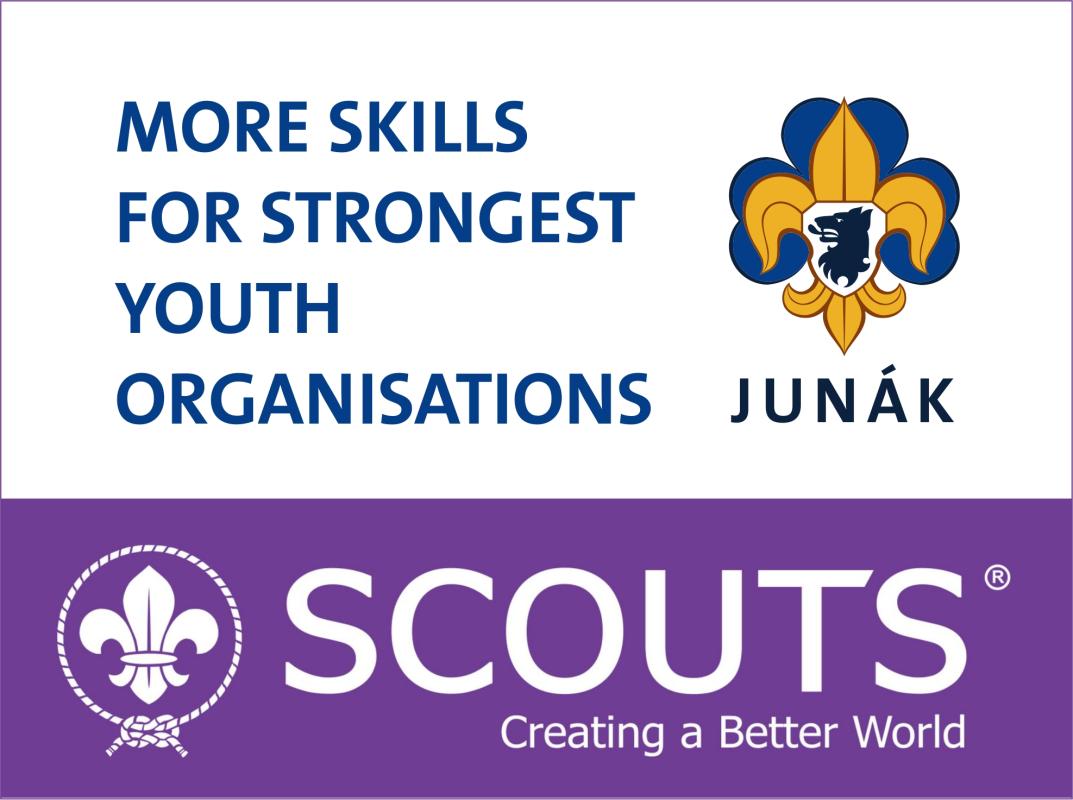 MORE SKILLS FOR STRONGEST YOUTH ORGANISATIONS