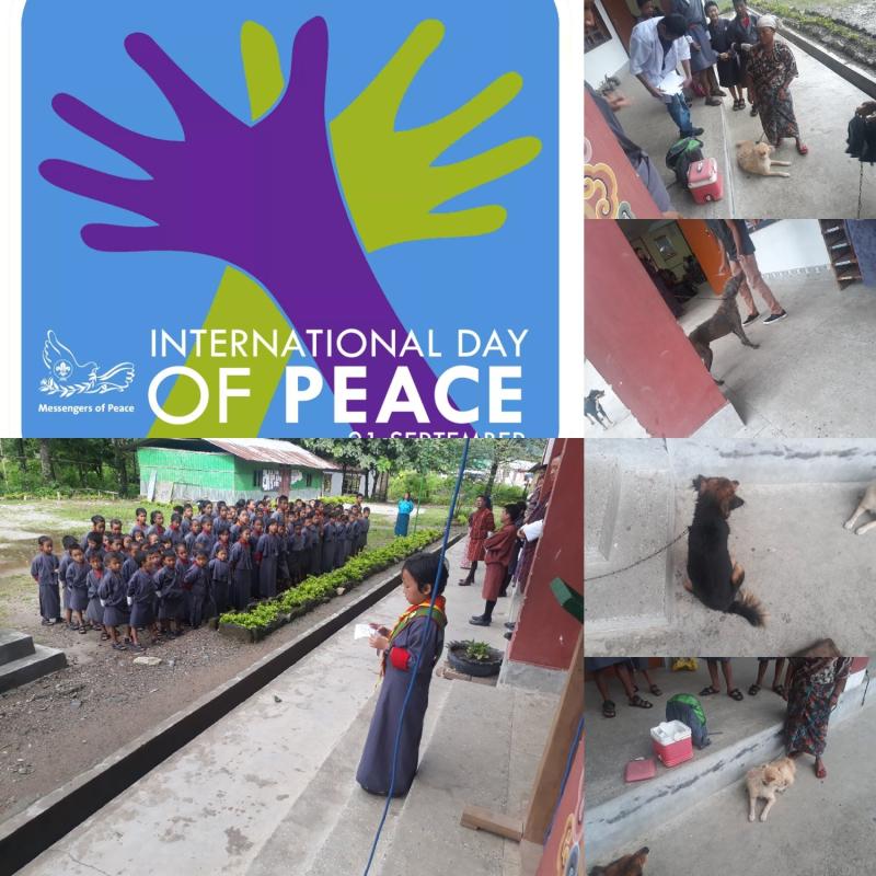 International Peace Day.