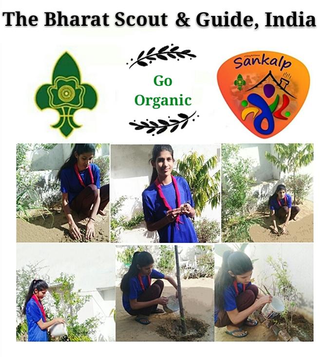 Sankalp Project [B.] (4.) Go Organic