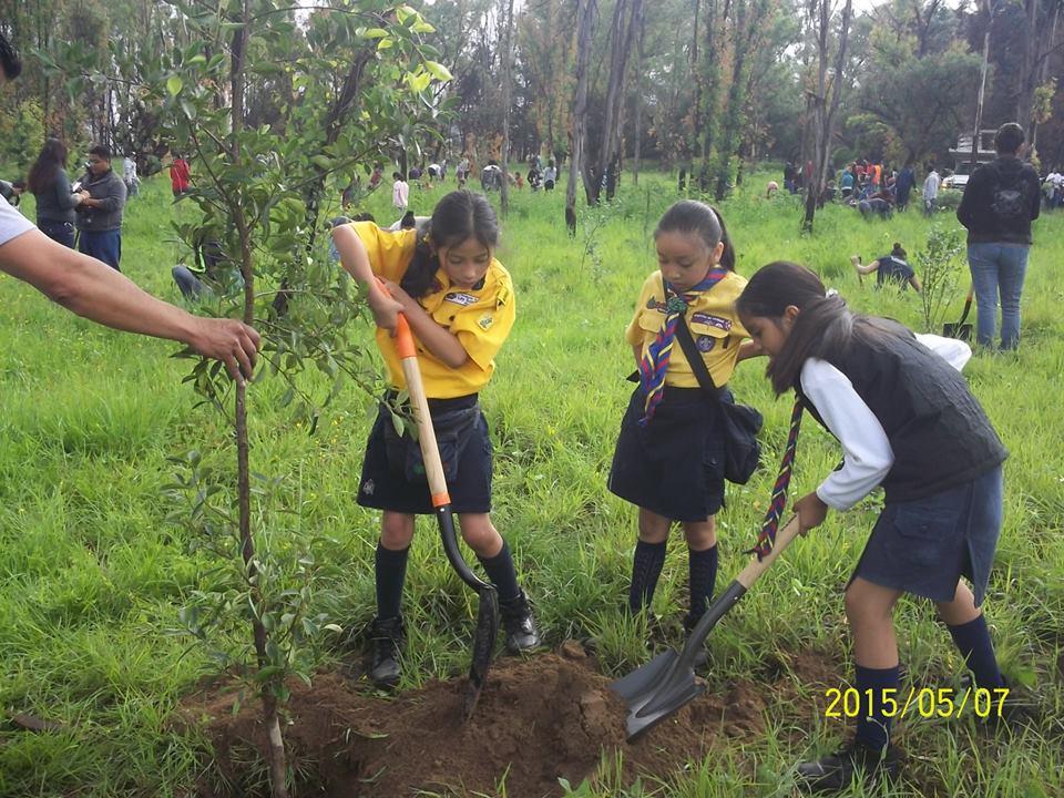 Trees for the World México, GAM3 manada