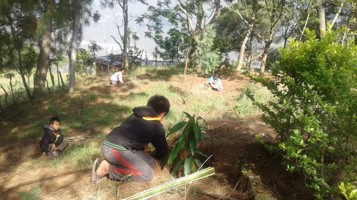  social forestry day. 