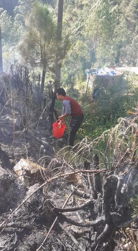 Help in control forest fire