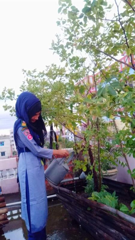 বৃক্ষরোপন ও বৃক্ষের পরিচর্যা