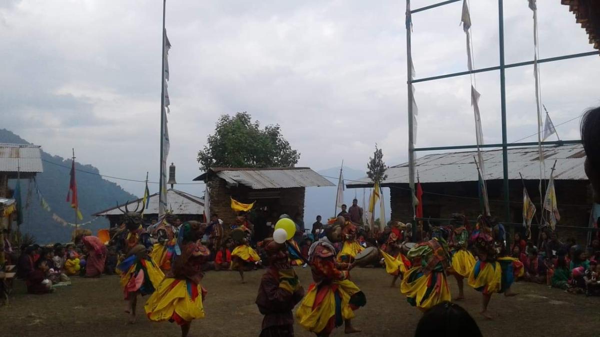 Festival 