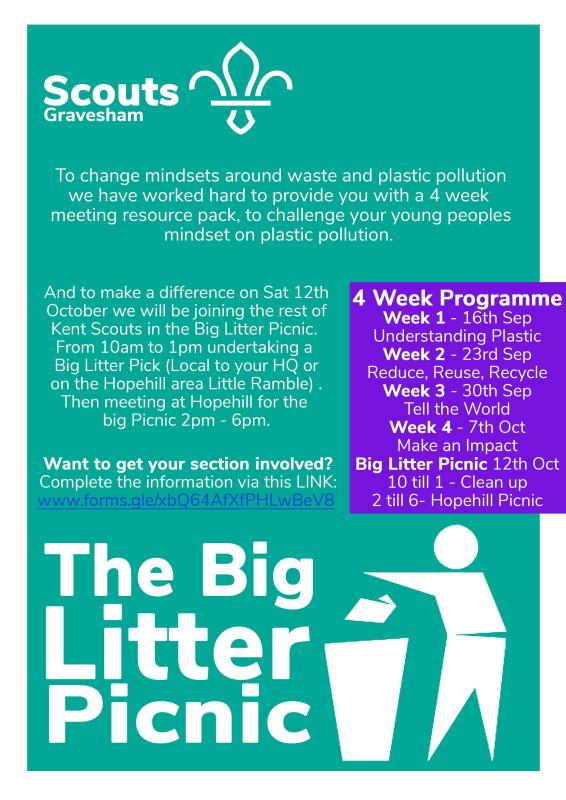 Big Litter Picnic