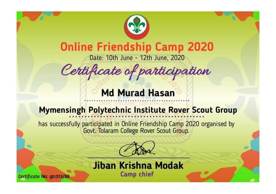 Online Friendship Camp