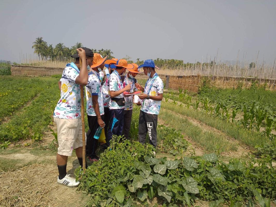 Haiking and scout skills