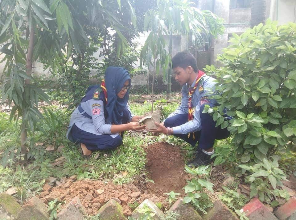 বৃক্ষ রূপন কর্মসূচি