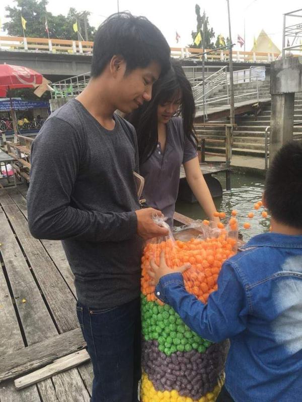 บริจาคอาหารปลา ปล่อยปลาและให้อาหารปลา