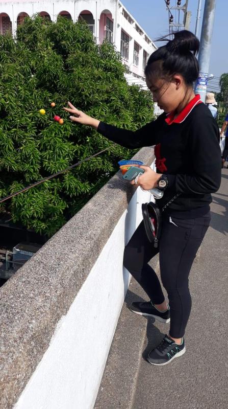 ให้อาหารปลา