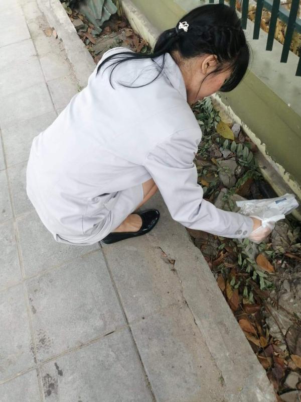 เก็บขยะรอบวิลัย