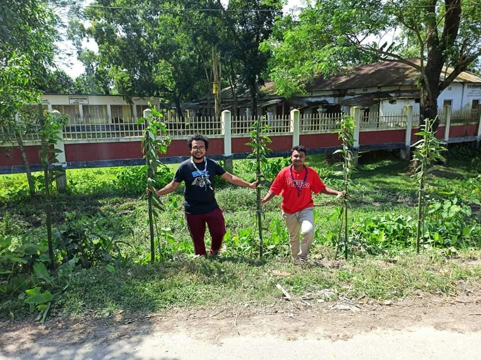 বৃক্ষরোপন কর্মসূচি 