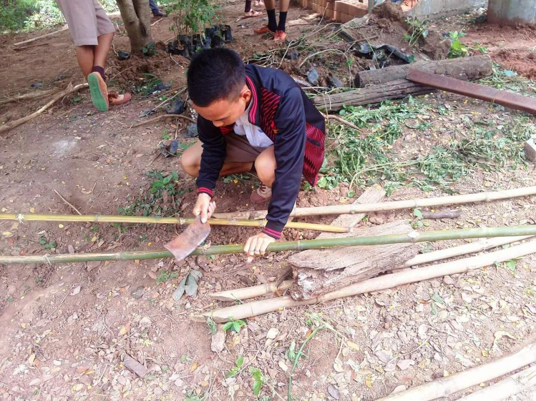 ตัดไม้ทำเรือนเพาะชำ