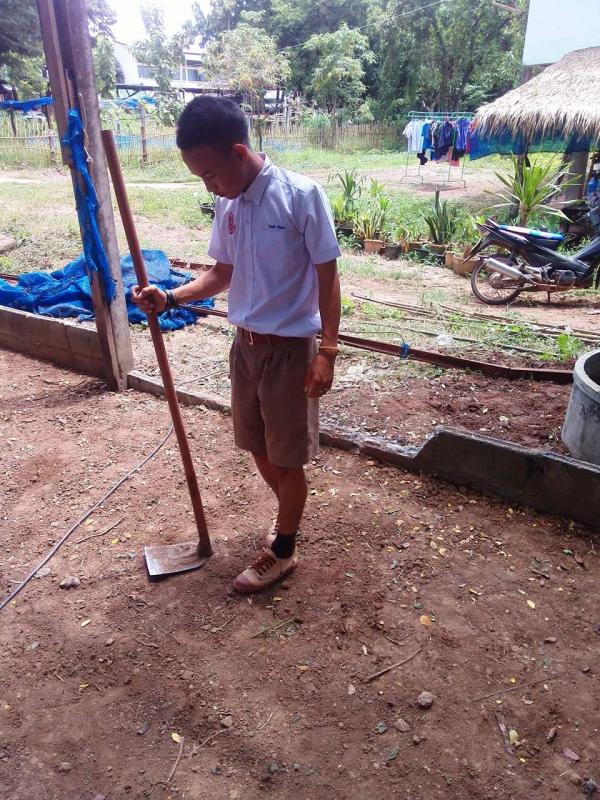ทำโรงเพาะชำต้นไม้