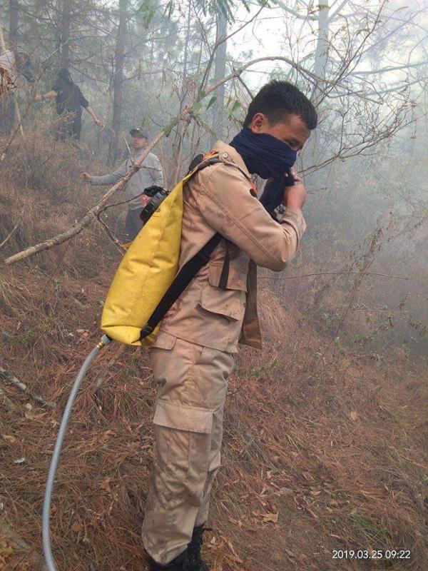 To Put Out the Forest Fire 