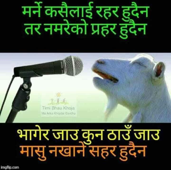 Cultural promotion through scouting.