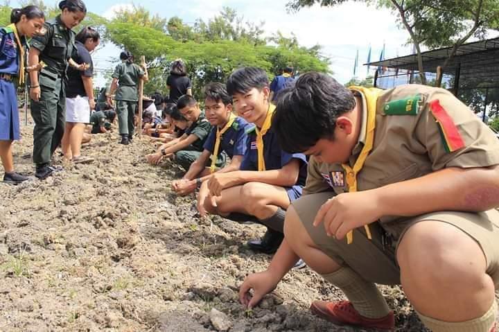 เข้าร่วมกิจกรรมปลูกต้นดาวเรือง