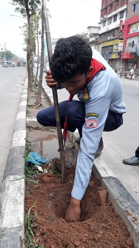বৃক্ষরোপণ কর্মসূচি 