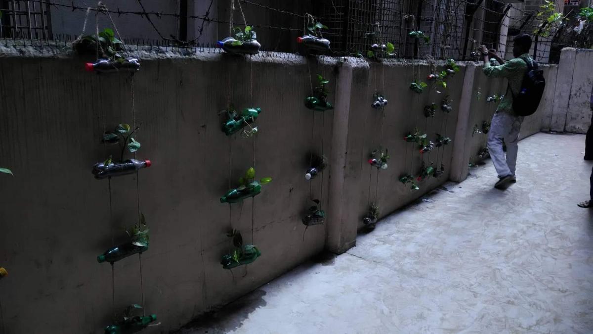 Tree Plantation With plactic bottles 