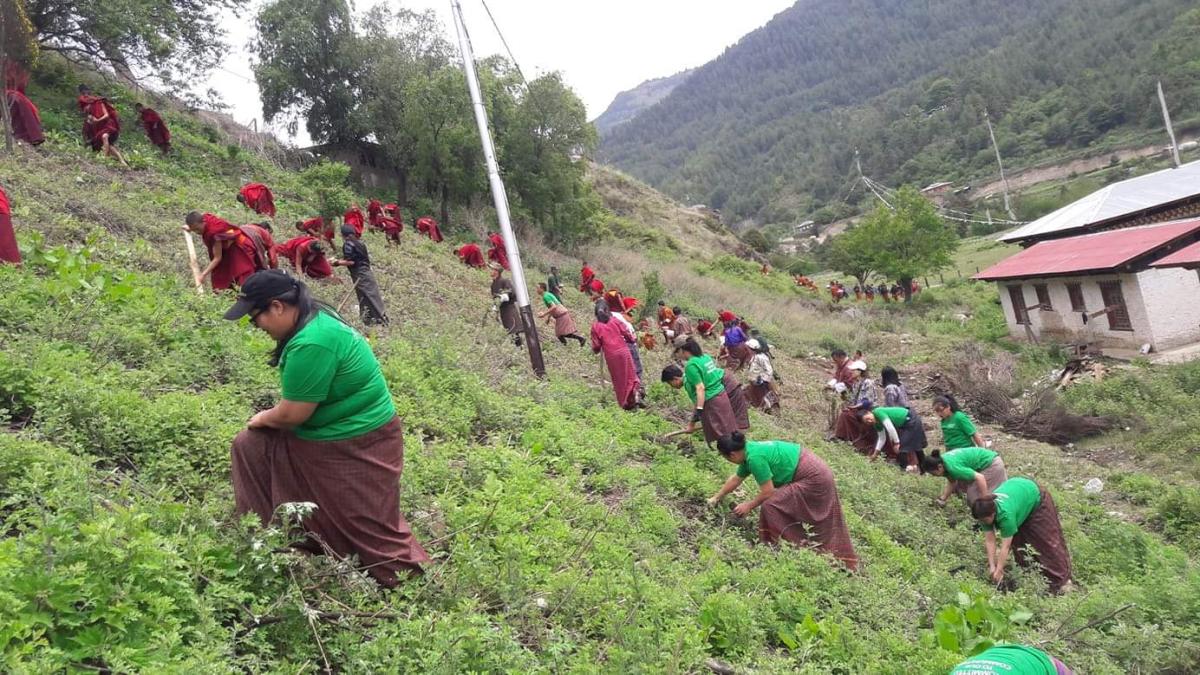 Lets mark the day and plant the trees