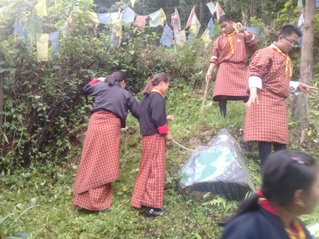 Scout and environment