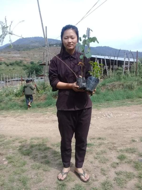 international forest day