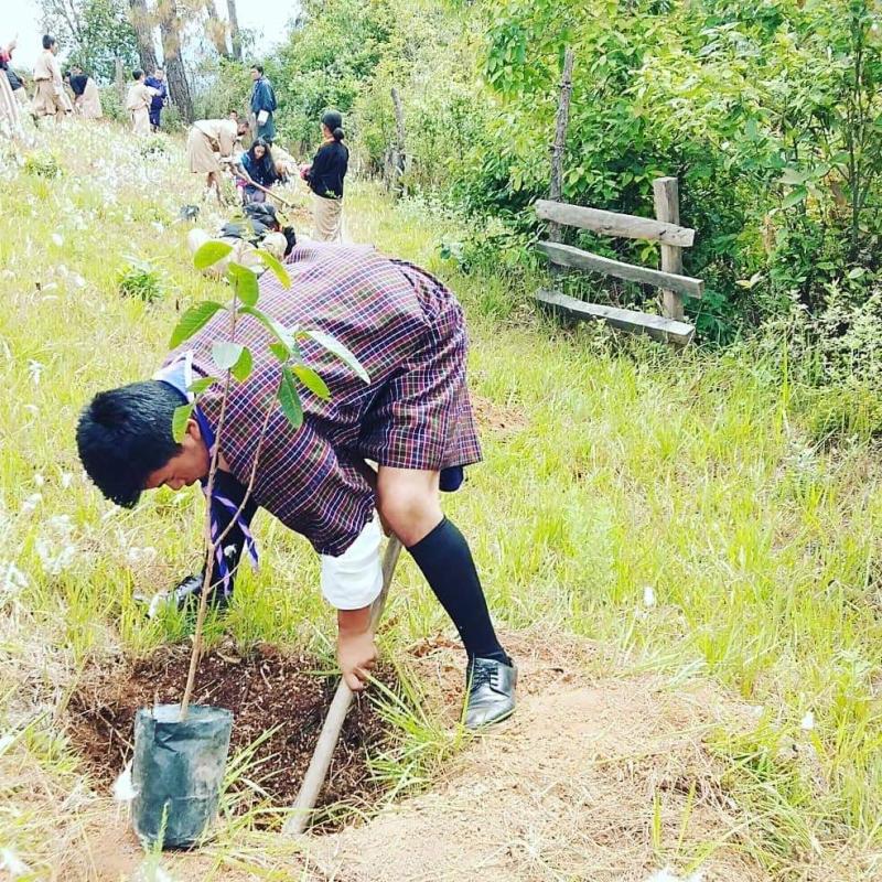 Social Forestry Day
