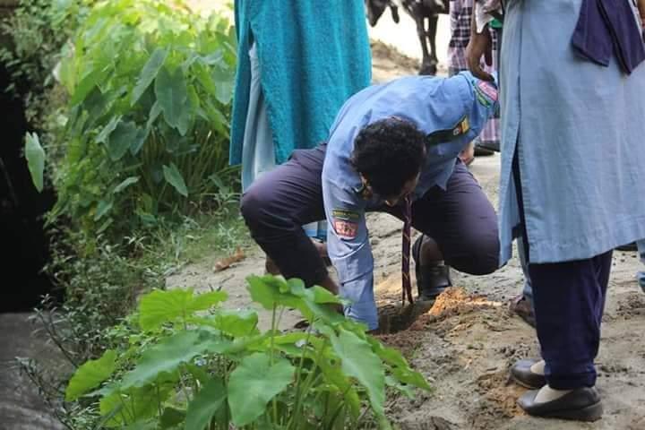 বৃক্ষরোপণ 