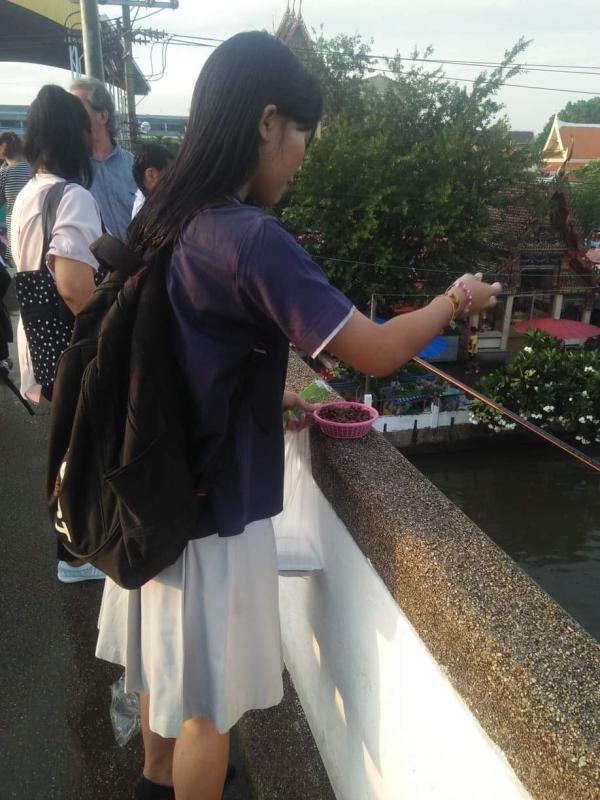 ให้อาหารปลาที่หนองแขม