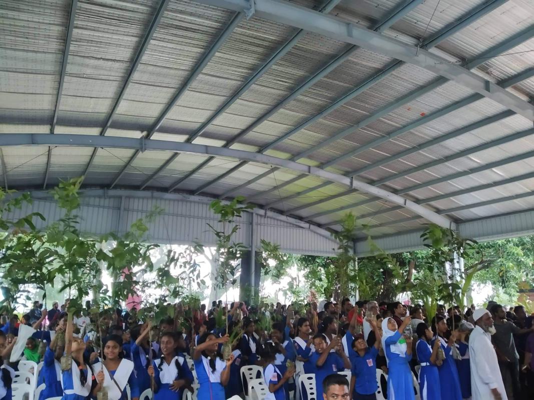 বৃক্ষ রোপন করব সুন্দর দেশ গড়ব