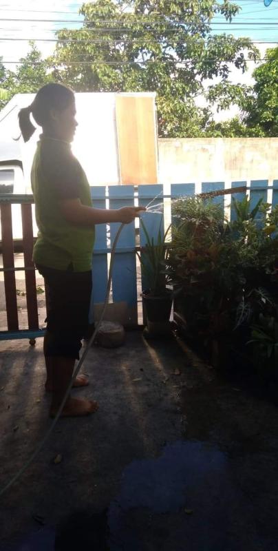 รดน้ำต้นไม้