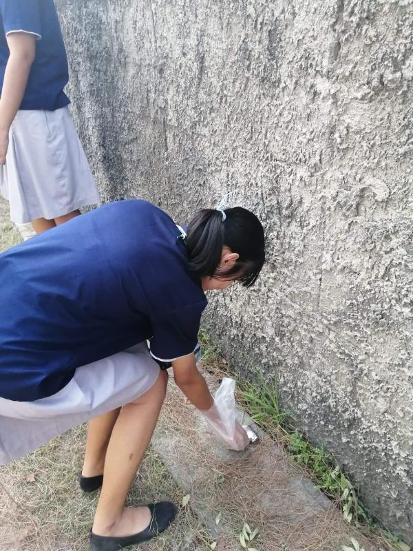 เก็บขยะแถววิทยาลัยอาชีวศึกษาเทคโนโลยีเอเชีย