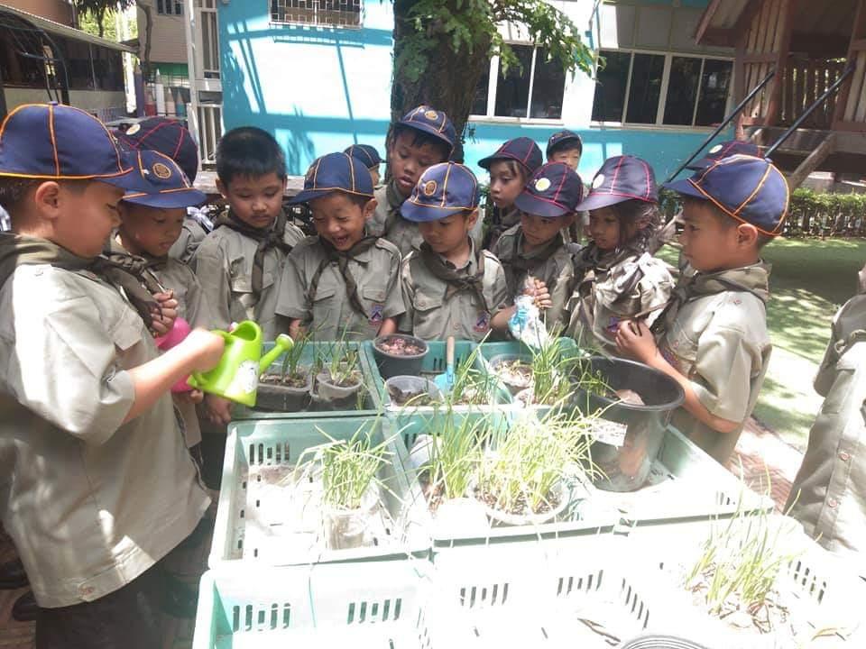 เรียนรู้การดูแลต้นกล้า