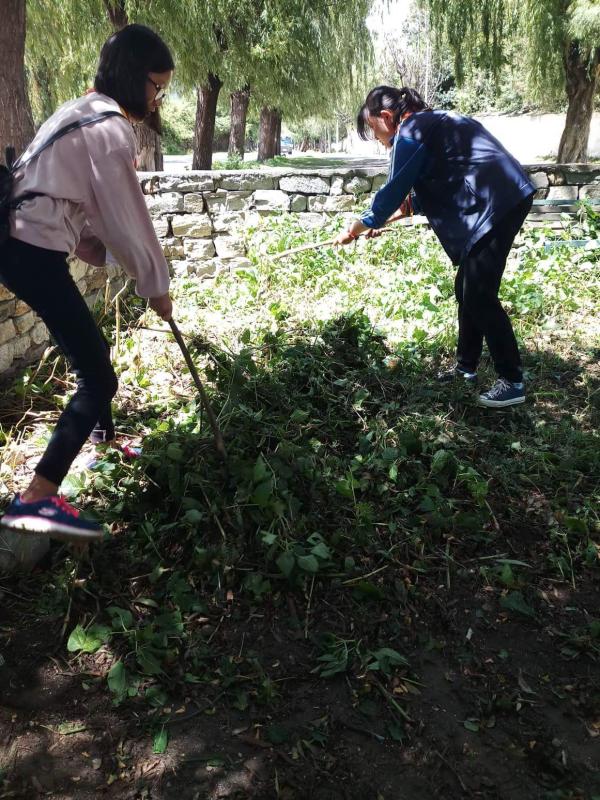 Gardening 
