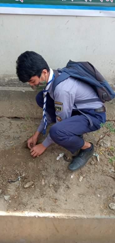 Tree Planting ceremony