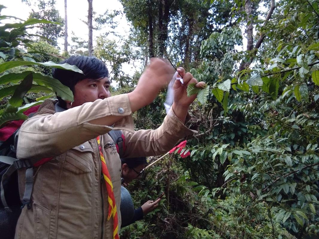 Empower, Educate and Engage youth