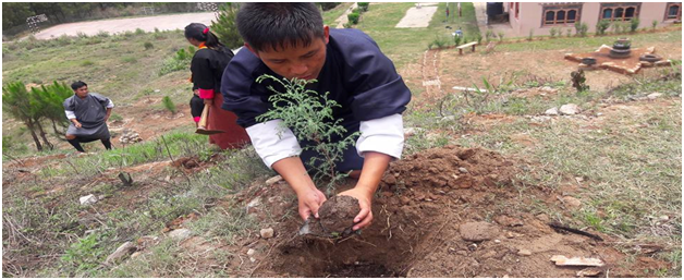 Celebration of World Environment Day. 