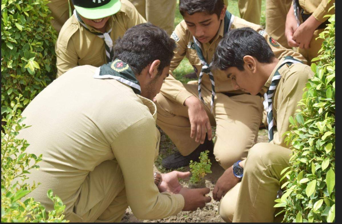PLANTATION ACTIVITY