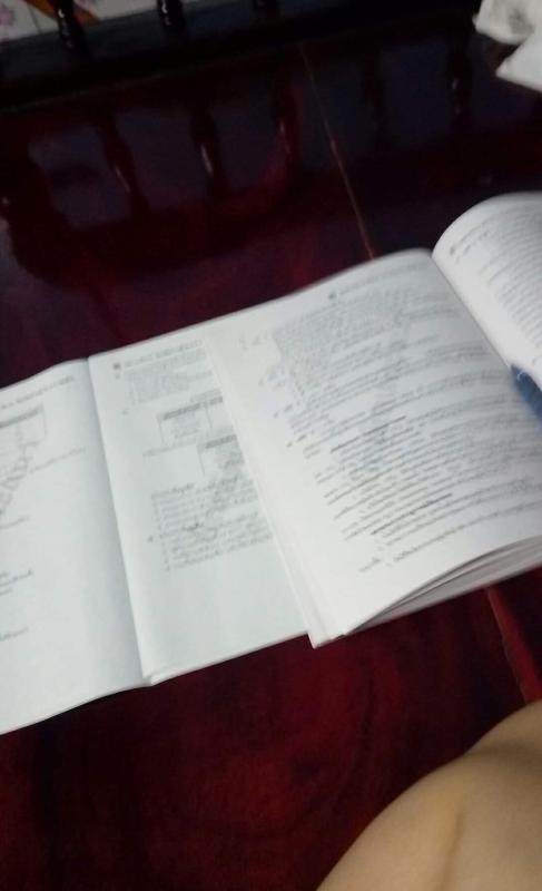 ช่วยงาน