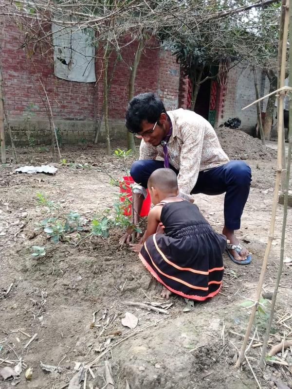 বাড়িতে থেকে গাছ রোপন 