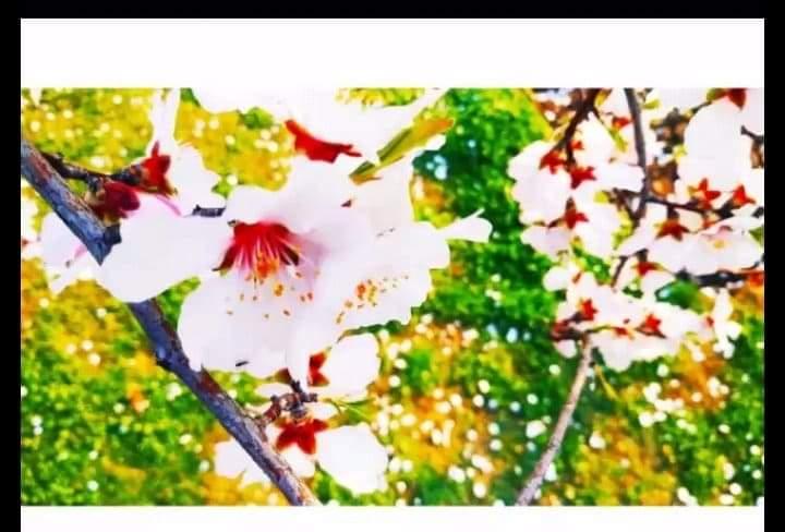 Observed "World Environmental Day 2020"