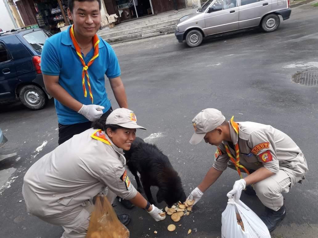 Dog feeding day