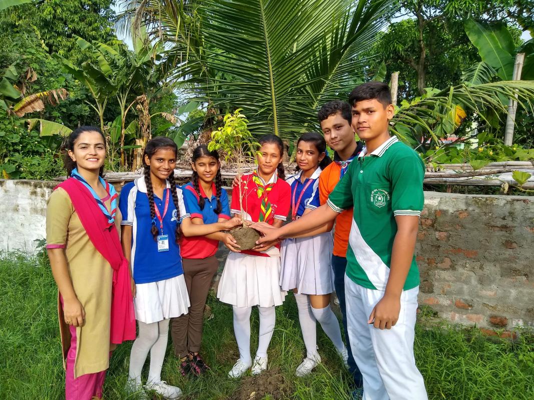 spreading culture of peace and plantation program
