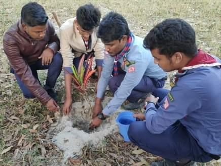 বৃক্ষ রোপন প্রকল্প 