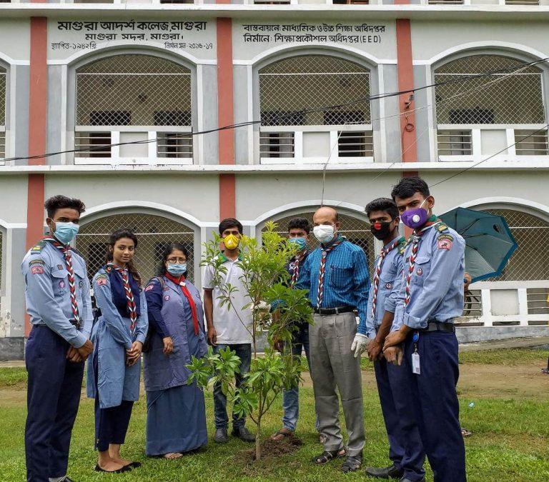 মুজিববর্ষ উপলক্ষ্যে মাগুরা আদর্শ কলেজ রোভার স্কাউট ইউনিট এর বৃক্ষ রোপন