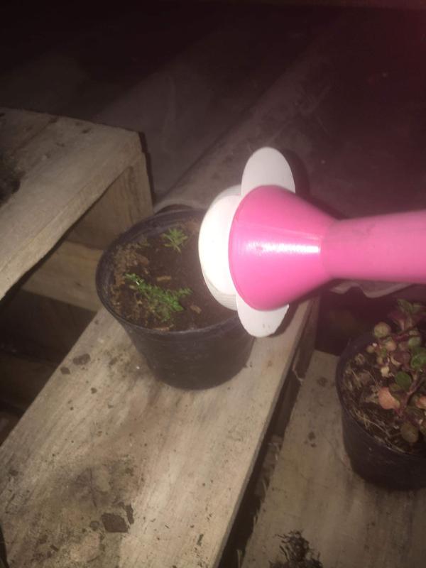 ลดน้ำต้นไม้เพื่อลดโลกร้อน